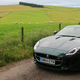 The sheep only got slightly scared. Photo: Jalopnik